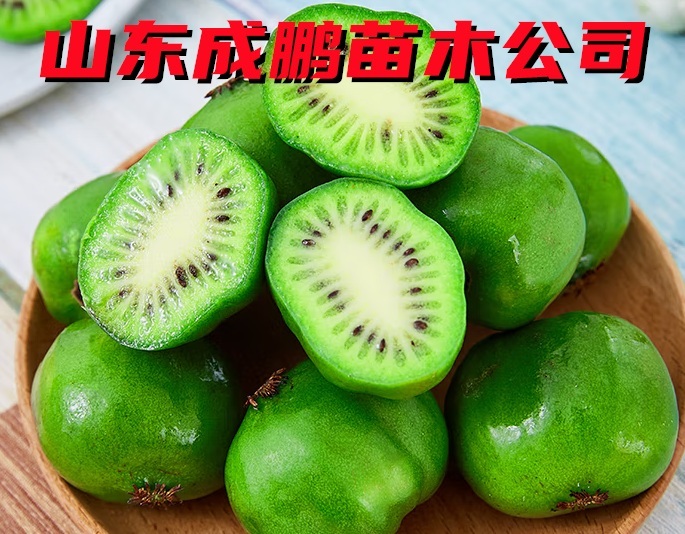 桓優(yōu)1號軟棗獼猴桃