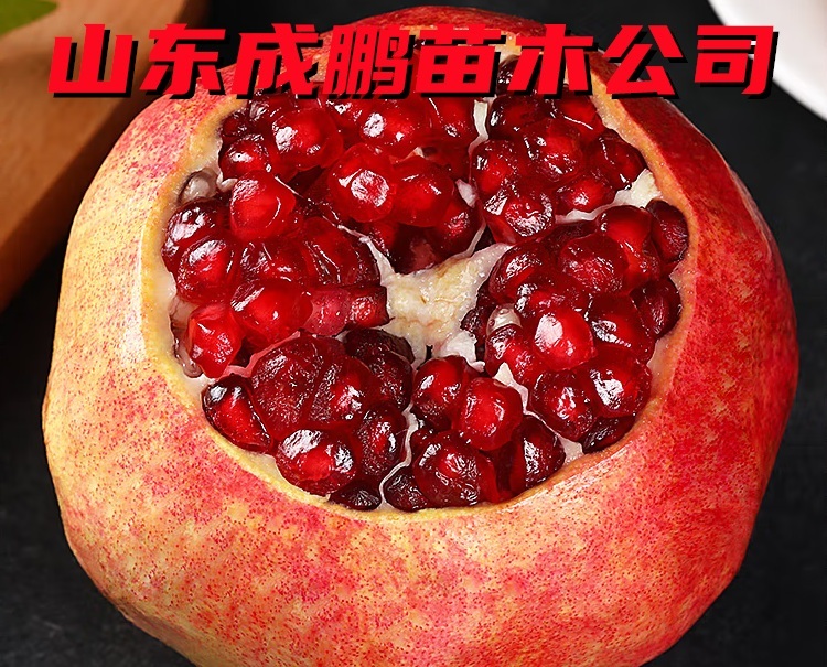 軟籽石榴