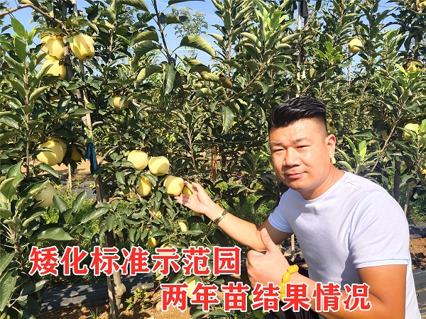 一文帶你全面了解：目前種植蘋(píng)果還可以發(fā)展嘛？