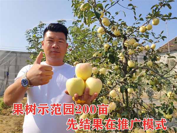 一文帶你全面了解：目前種植蘋(píng)果還可以發(fā)展嘛？