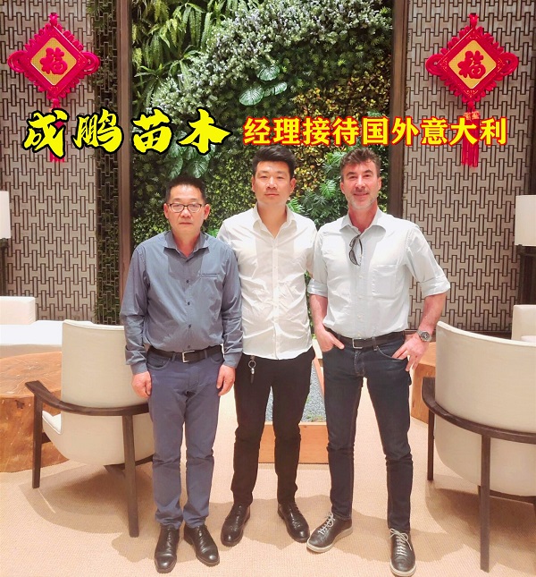 一文帶你全面了解：目前種植蘋(píng)果還可以發(fā)展嘛？